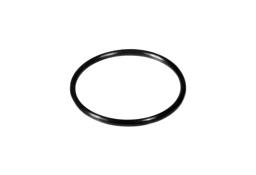O-ring-FH2000